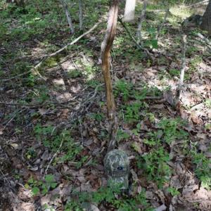 Photo of 24 Acres of Hunting and Recreation Land For Sale in Pittsylvania County VA!