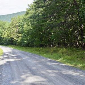 Photo of 24 Acres of Hunting and Recreation Land For Sale in Pittsylvania County VA!