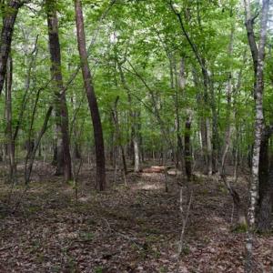Photo of 24 Acres of Hunting and Recreation Land For Sale in Pittsylvania County VA!