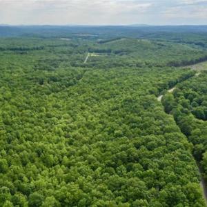 Photo of 24 Acres of Hunting and Recreation Land For Sale in Pittsylvania County VA!