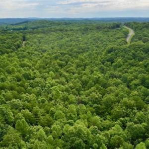 Photo of 24 Acres of Hunting and Recreation Land For Sale in Pittsylvania County VA!