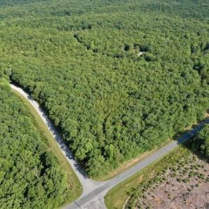 Photo of 24 Acres of Hunting and Recreation Land For Sale in Pittsylvania County VA!