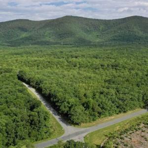Photo of 24 Acres of Hunting and Recreation Land For Sale in Pittsylvania County VA!