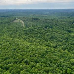 Photo of 24 Acres of Hunting and Recreation Land For Sale in Pittsylvania County VA!