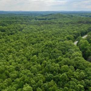 Photo of 24 Acres of Hunting and Recreation Land For Sale in Pittsylvania County VA!