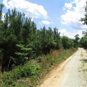 Photo of 187 Acres of Hunting  Residential and Cultivated Land For Sale in King and Queen County VA!