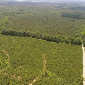 Photo of UNDER CONTRACT!!  77 Acres of Hunting and Timber Land For Sale in King and Queen County VA!