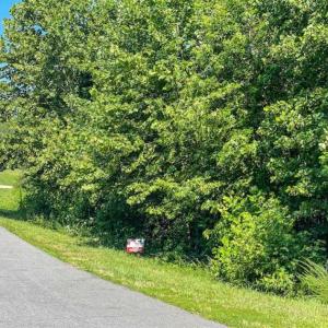 Photo of SOLD!!  1.04 Acre Lot For Sale in Rockingham County NC!