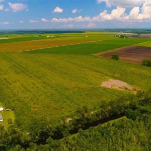 Photo of 53.86 Acres of Timber and Hunting Land in Tyrrell County NC!