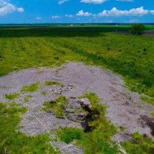 Photo of 53.86 Acres of Timber and Hunting Land in Tyrrell County NC!