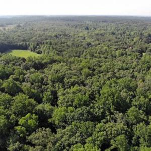 Photo of UNDER CONTRACT!!  43.18 Acres of Residential and Recreational Land in Cumberland County VA!