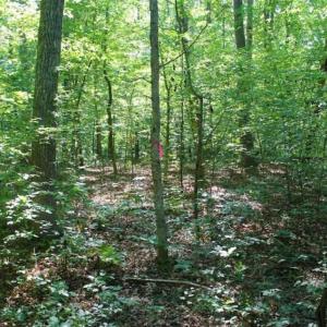 Photo of UNDER CONTRACT!!  43.18 Acres of Residential and Recreational Land in Cumberland County VA!