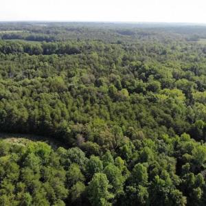 Photo of UNDER CONTRACT!!  43.18 Acres of Residential and Recreational Land in Cumberland County VA!
