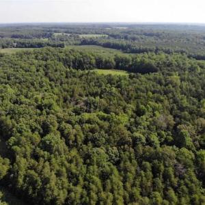 Photo of UNDER CONTRACT!!  43.18 Acres of Residential and Recreational Land in Cumberland County VA!