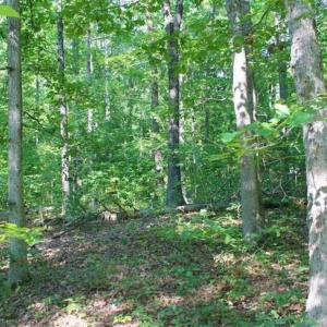 Photo of UNDER CONTRACT!!  43.18 Acres of Residential and Recreational Land in Cumberland County VA!
