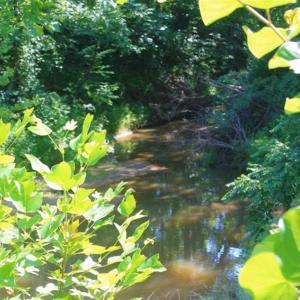 Photo of UNDER CONTRACT!!  43.18 Acres of Residential and Recreational Land in Cumberland County VA!