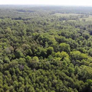 Photo of UNDER CONTRACT!!  43.18 Acres of Residential and Recreational Land in Cumberland County VA!