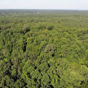 Photo of UNDER CONTRACT!!  43.18 Acres of Residential and Recreational Land in Cumberland County VA!