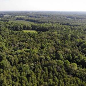 Photo of UNDER CONTRACT!!  43.18 Acres of Residential and Recreational Land in Cumberland County VA!
