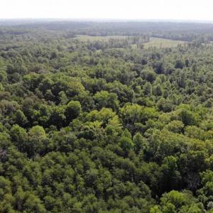 Photo of UNDER CONTRACT!!  43.18 Acres of Residential and Recreational Land in Cumberland County VA!