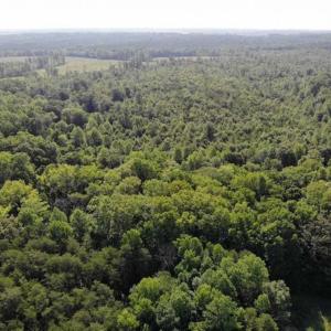 Photo of UNDER CONTRACT!!  43.18 Acres of Residential and Recreational Land in Cumberland County VA!