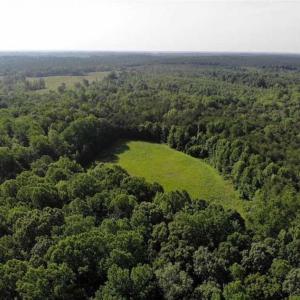Photo of UNDER CONTRACT!!  43.18 Acres of Residential and Recreational Land in Cumberland County VA!