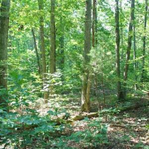 Photo of UNDER CONTRACT!!  43.18 Acres of Residential and Recreational Land in Cumberland County VA!