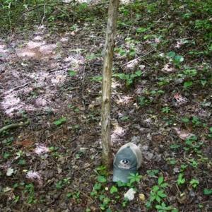 Photo of UNDER CONTRACT!!  156 Acres of Hunting and Recreation Land for Sale in Franklin County VA!