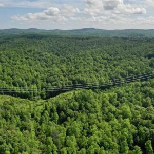 Photo of UNDER CONTRACT!!  156 Acres of Hunting and Recreation Land for Sale in Franklin County VA!