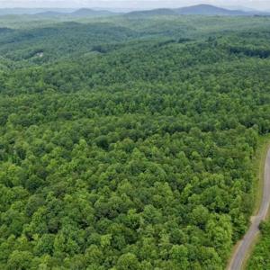 Photo of UNDER CONTRACT!!  156 Acres of Hunting and Recreation Land for Sale in Franklin County VA!