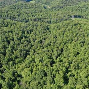Photo of UNDER CONTRACT!!  156 Acres of Hunting and Recreation Land for Sale in Franklin County VA!