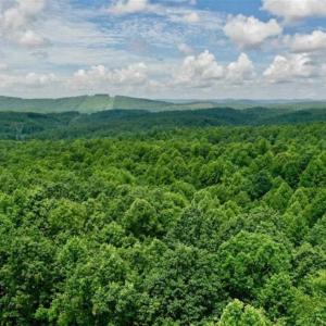 Photo of UNDER CONTRACT!!  156 Acres of Hunting and Recreation Land for Sale in Franklin County VA!