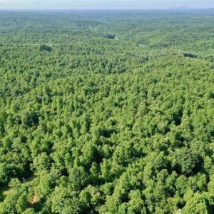 Photo of UNDER CONTRACT!!  156 Acres of Hunting and Recreation Land for Sale in Franklin County VA!