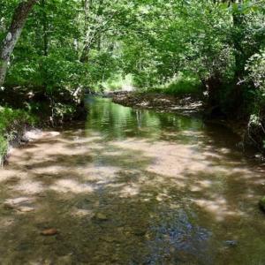 Photo of UNDER CONTRACT!!  156 Acres of Hunting and Recreation Land for Sale in Franklin County VA!