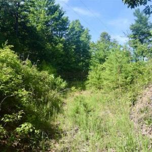 Photo of UNDER CONTRACT!!  156 Acres of Hunting and Recreation Land for Sale in Franklin County VA!