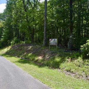 Photo of UNDER CONTRACT!!  156 Acres of Hunting and Recreation Land for Sale in Franklin County VA!