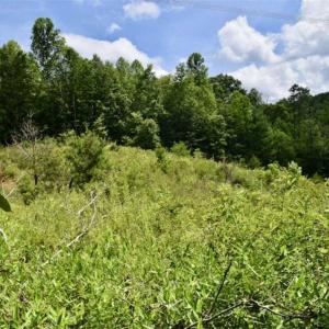 Photo of UNDER CONTRACT!!  156 Acres of Hunting and Recreation Land for Sale in Franklin County VA!