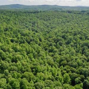 Photo of UNDER CONTRACT!!  156 Acres of Hunting and Recreation Land for Sale in Franklin County VA!