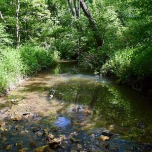 Photo of UNDER CONTRACT!!  156 Acres of Hunting and Recreation Land for Sale in Franklin County VA!