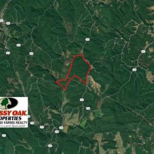 Photo of UNDER CONTRACT!!  156 Acres of Hunting and Recreation Land for Sale in Franklin County VA!