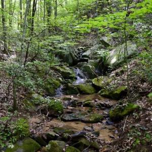 Photo of UNDER CONTRACT!!  156 Acres of Hunting and Recreation Land for Sale in Franklin County VA!