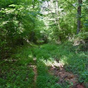Photo of UNDER CONTRACT!!  156 Acres of Hunting and Recreation Land for Sale in Franklin County VA!