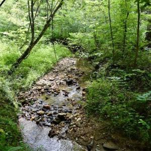 Photo of UNDER CONTRACT!!  156 Acres of Hunting and Recreation Land for Sale in Franklin County VA!