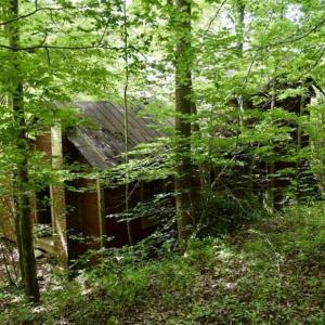 Photo of UNDER CONTRACT!!  156 Acres of Hunting and Recreation Land for Sale in Franklin County VA!