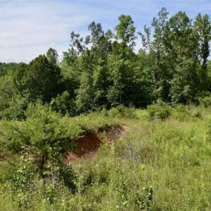 Photo of UNDER CONTRACT!!  156 Acres of Hunting and Recreation Land for Sale in Franklin County VA!