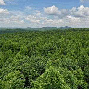 Photo of UNDER CONTRACT!!  156 Acres of Hunting and Recreation Land for Sale in Franklin County VA!