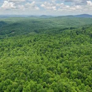 Photo of UNDER CONTRACT!!  156 Acres of Hunting and Recreation Land for Sale in Franklin County VA!