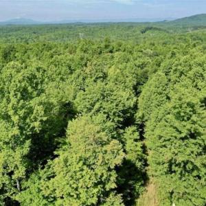 Photo of UNDER CONTRACT!!  156 Acres of Hunting and Recreation Land for Sale in Franklin County VA!