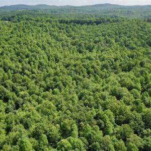 Photo of UNDER CONTRACT!!  156 Acres of Hunting and Recreation Land for Sale in Franklin County VA!