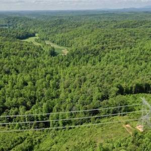 Photo of UNDER CONTRACT!!  156 Acres of Hunting and Recreation Land for Sale in Franklin County VA!